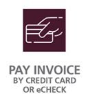 PayInvoice